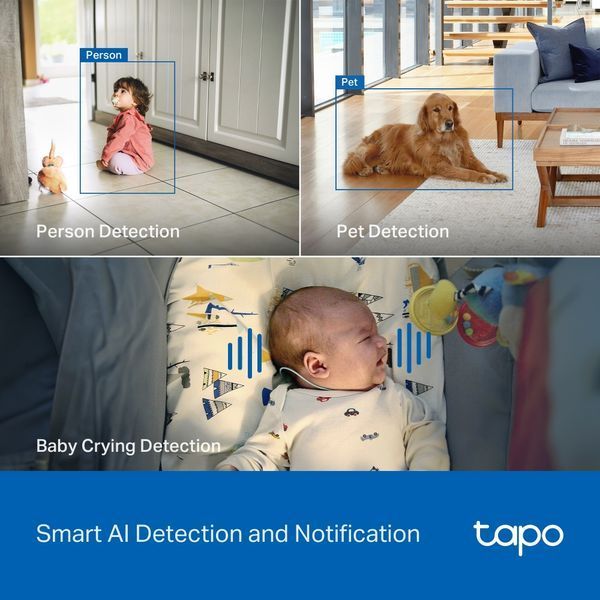 IP-Камера TP-LINK Tapo C260 8MP N300 microSD motion detection. TAPO-C260 фото
