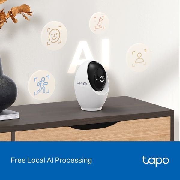 IP-Камера TP-LINK Tapo C260 8MP N300 microSD motion detection. TAPO-C260 фото