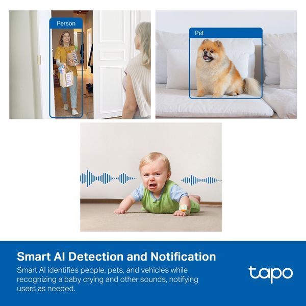 IP-Камера TP-LINK Tapo C125 4MP N300 microSD motion detection, штучний інтелект TAPO-C125 фото