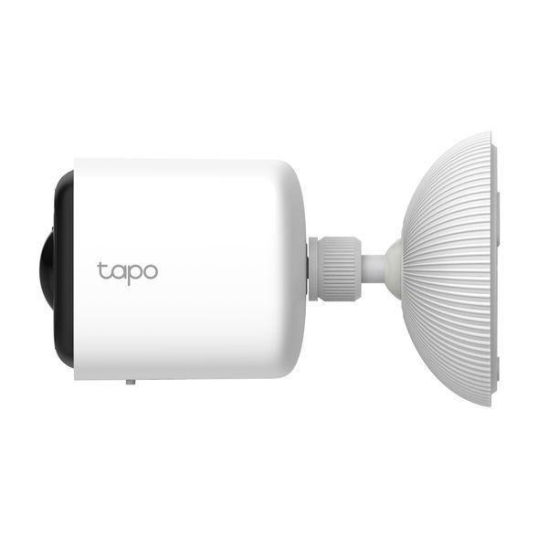 IP-Камера TP-LINK Tapo C400 FHD N300 зовнішня TAPO-C400 фото