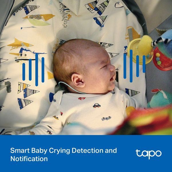 IP-Камера TP-LINK Tapo C206 FHD N300 microSD motion detection. зовнішня/внутрішня, AI TAPO-C206 фото