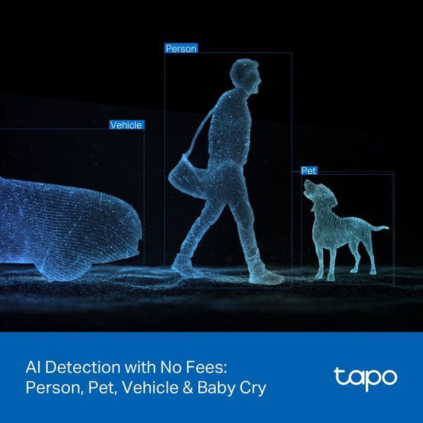 Камера IP з подвійним об'єктивом TP-LINK Tapo C246D 3MP N300 microSD motion detection TAPO-C246D фото